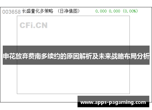 申花放弃费南多续约的原因解析及未来战略布局分析