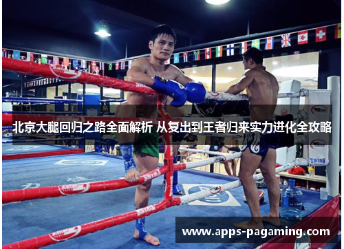 北京大腿回归之路全面解析 从复出到王者归来实力进化全攻略