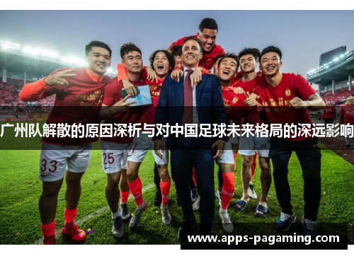 广州队解散的原因深析与对中国足球未来格局的深远影响