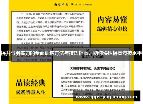提升马羽实力的全面训练方法与技巧指南，助你快速提高竞技水平