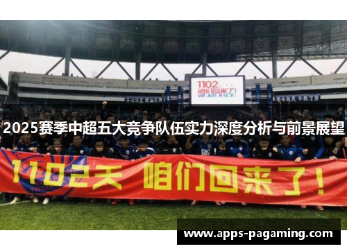 2025赛季中超五大竞争队伍实力深度分析与前景展望