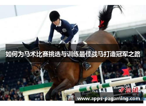 如何为马术比赛挑选与训练最佳战马打造冠军之路