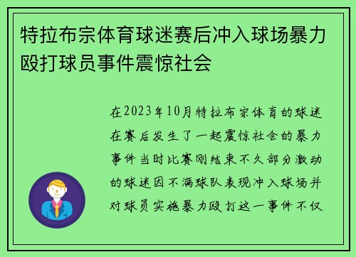 特拉布宗体育球迷赛后冲入球场暴力殴打球员事件震惊社会